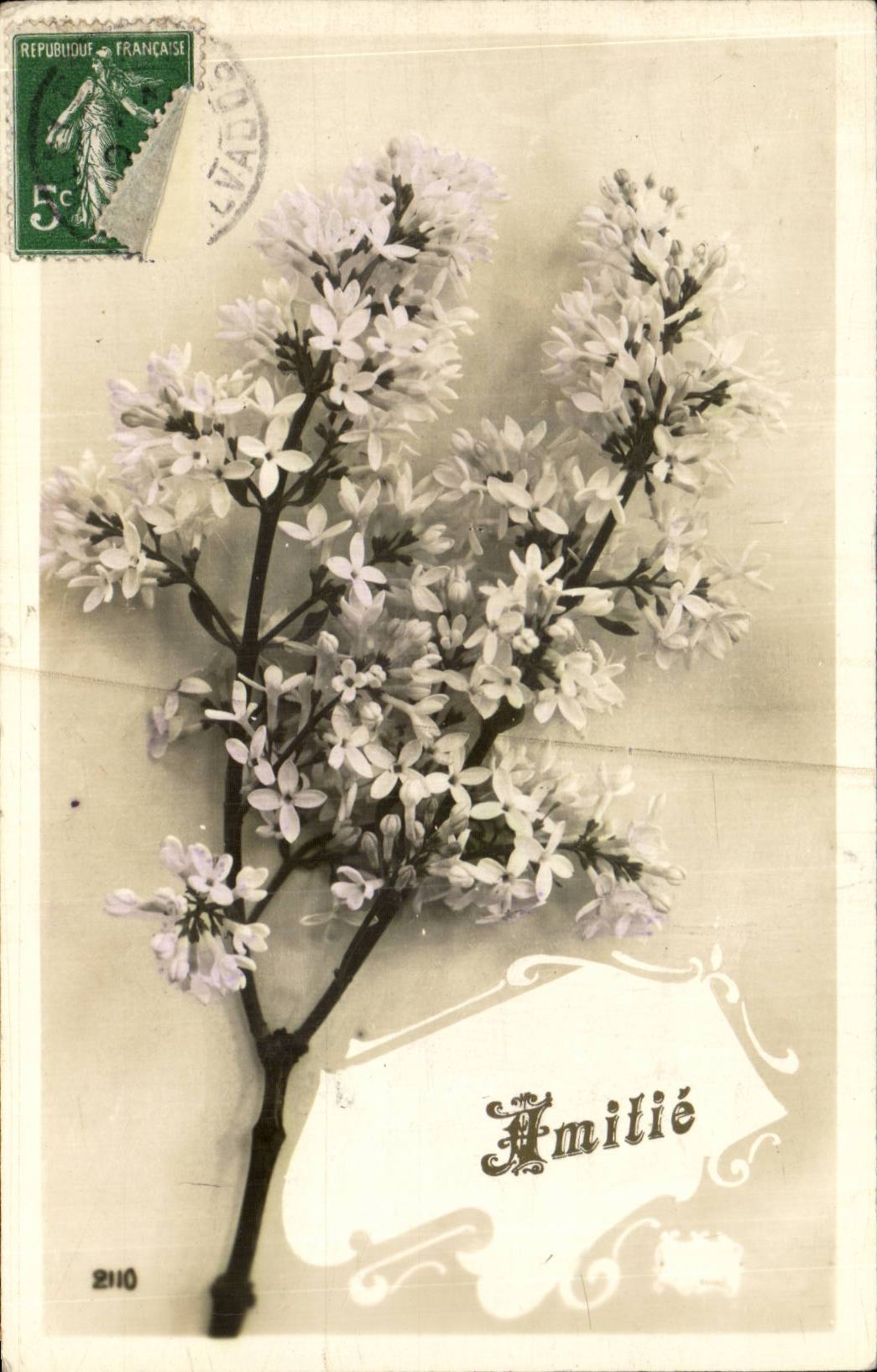 CPA Fantaisie Fleur
