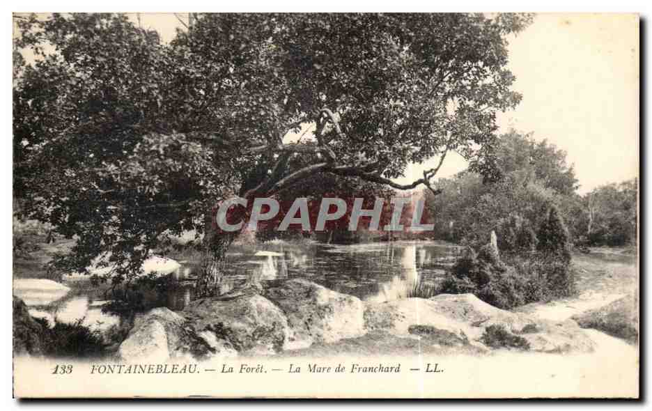 Fontainebleau — La Forêt — La Mare de Franchard — LL. — n°133