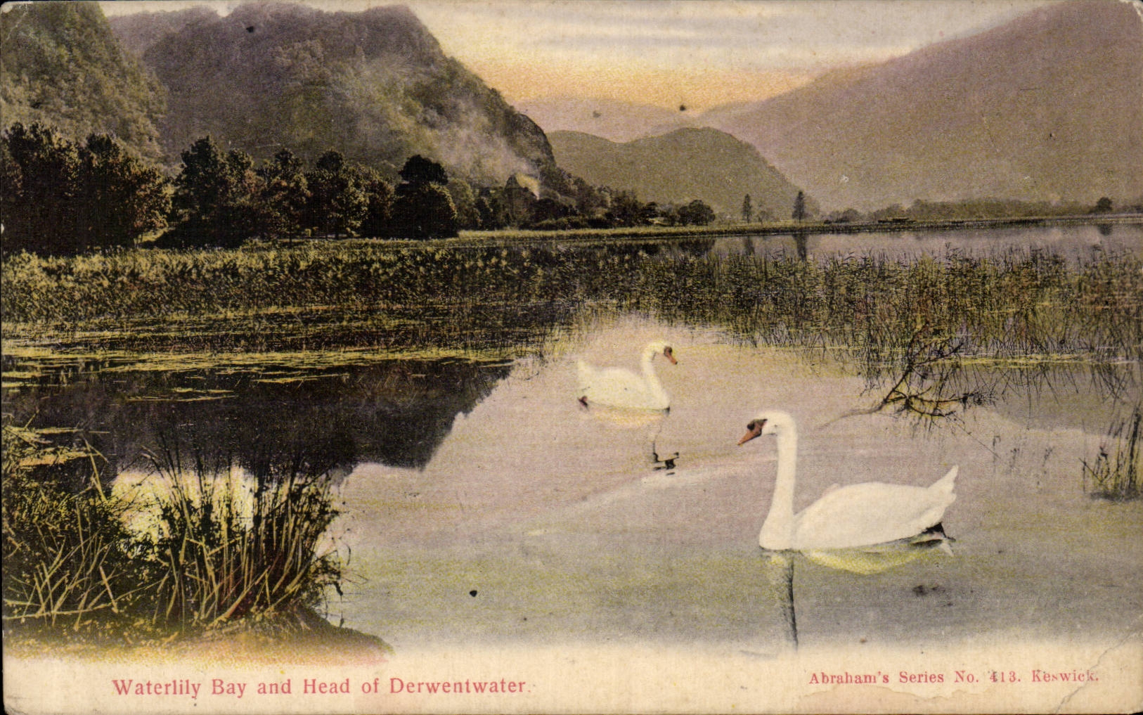 CPA Waterlily Bay and head of Derwentwater Cygne swan