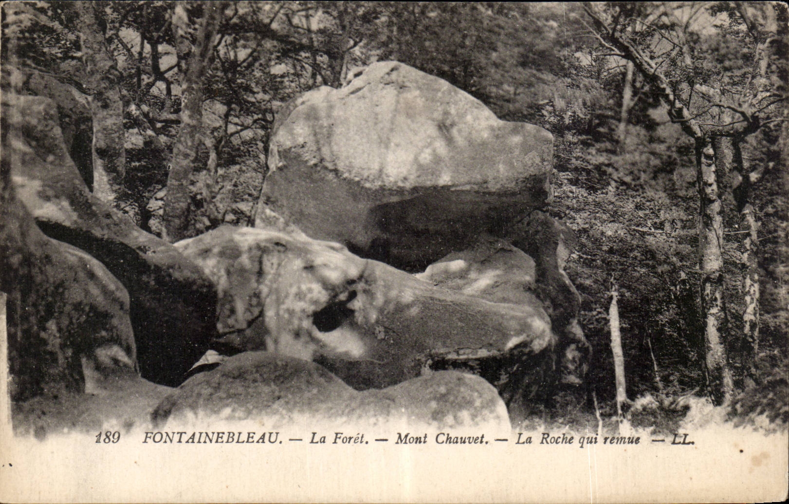 Fontainebleau — La Forêt — Mont Chauvet — La Roche qui remue — LL.