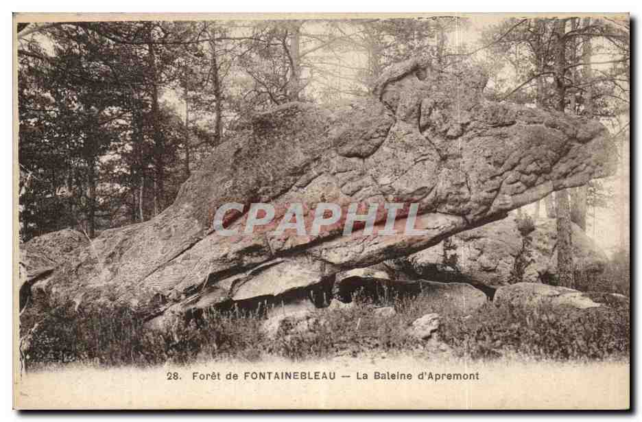 Forêt de FONTAINEBLEAU — La Baleine d'Apremont — Édition CPAPHIL