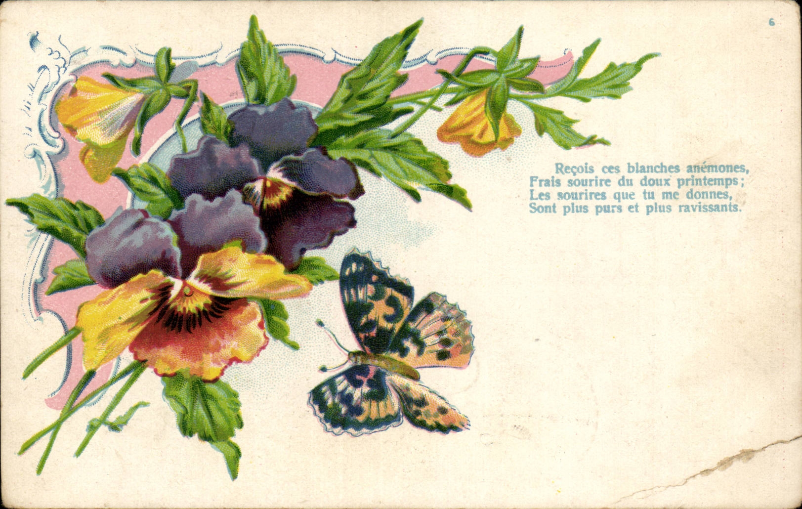 CPA Fantaisie Fleurs Papillon Butterfly