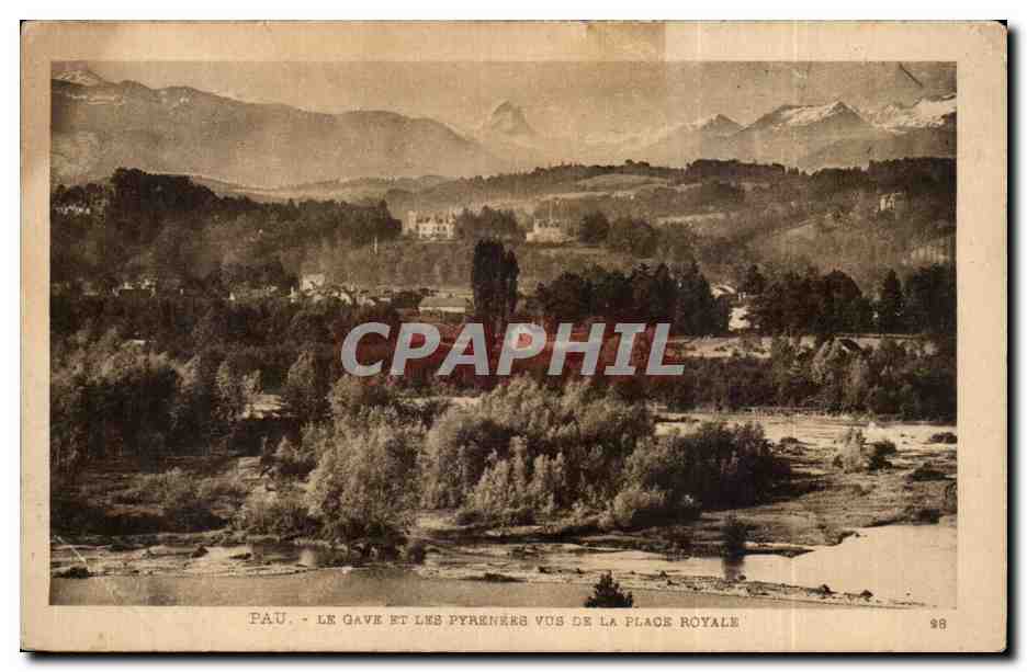 CPA Pau Le Gave et les Pyrenees vus de la place Royale