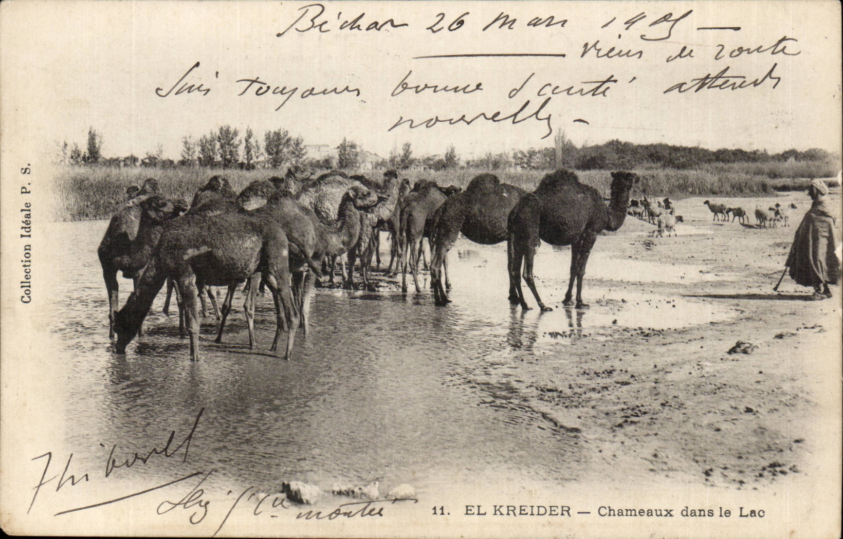 Chameaux dans le Lac — EL KREIDER — Collection Idéale P. S.