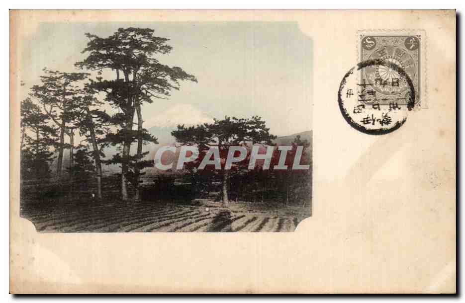 Paysage de pins et montagne en arrière-plan — Japon — éditeur inconnu, n° de série non visible