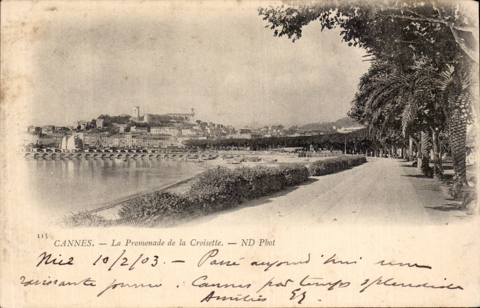 CPA Cannes La promenade de la Croisette