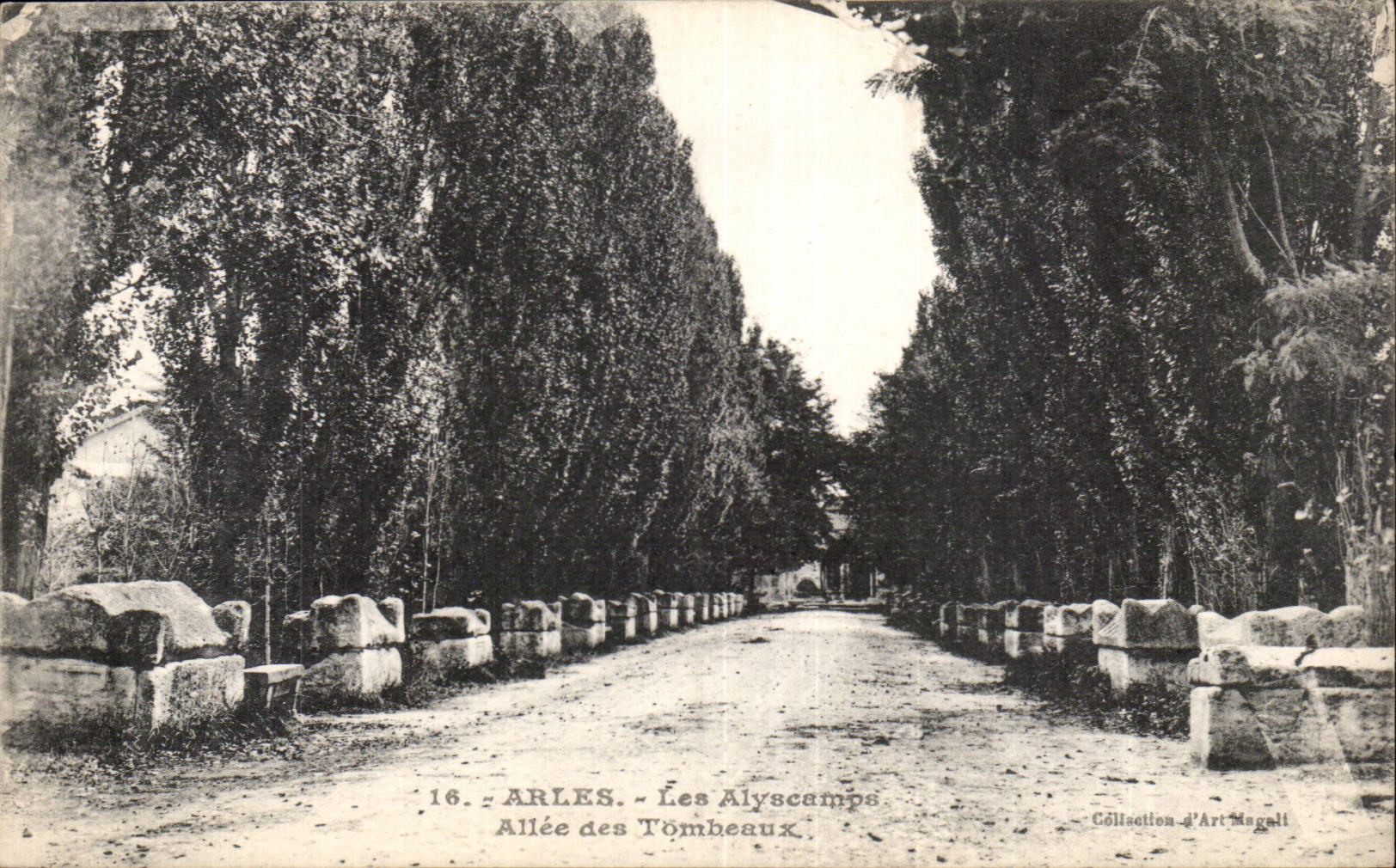 CPA Arles Les Alyscamps Allee des tombeaux