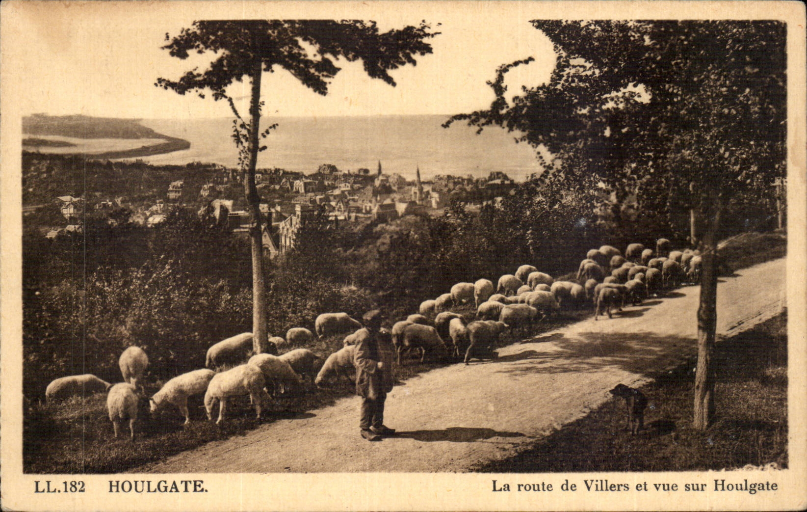 La route de Villiers et vue sur Houlgate — LL.182 — Éditeur non identifié