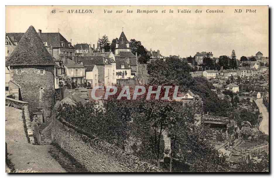 Avallon CPA Vue sur les remparts et la vallee des cousins