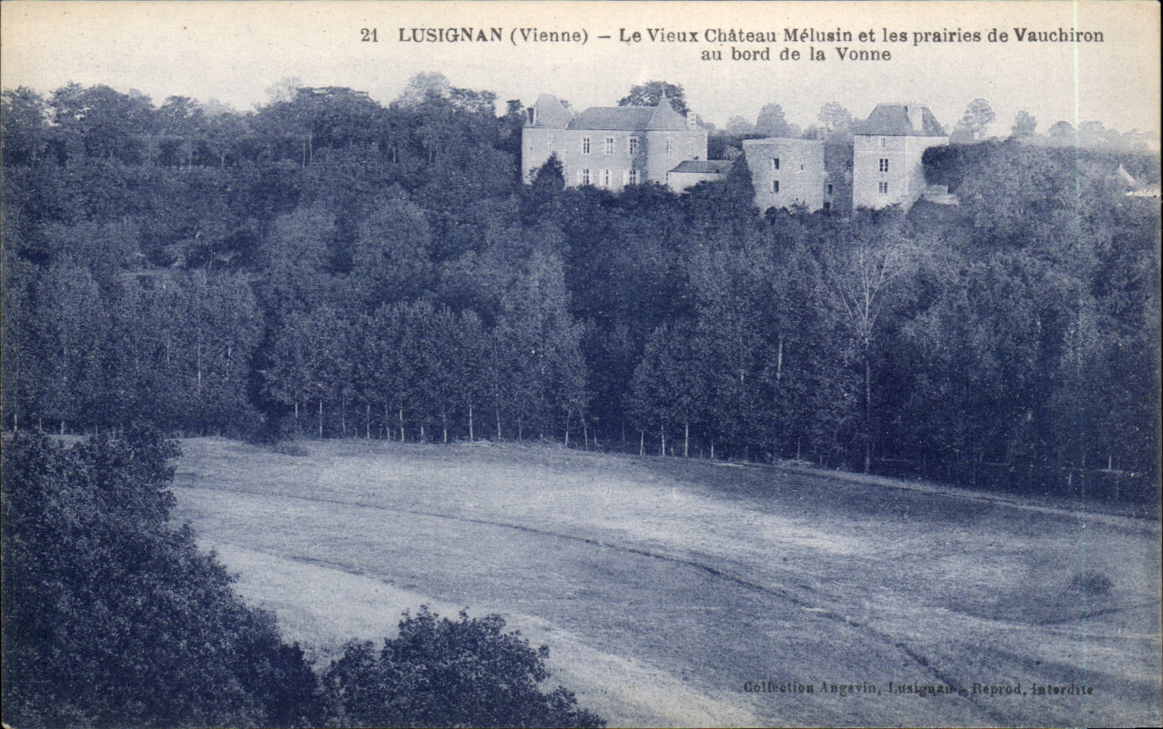 Lusignan CPA Le vieux chateau medieval et les prairies de Vauchiron au bord de la Vonne 