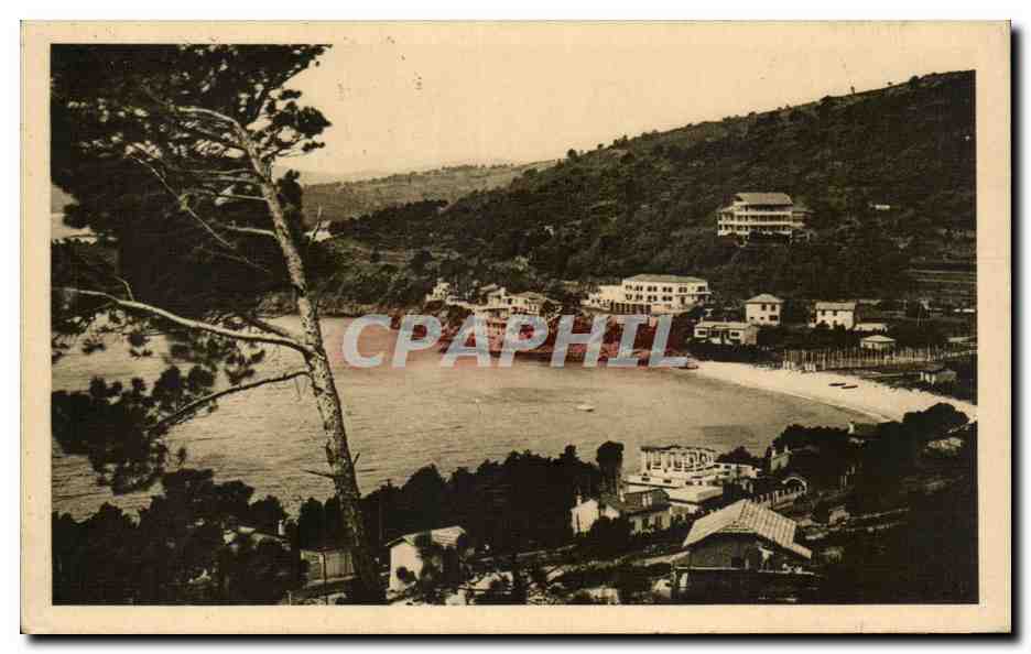 CPA Le Lavandou Aiguebelle