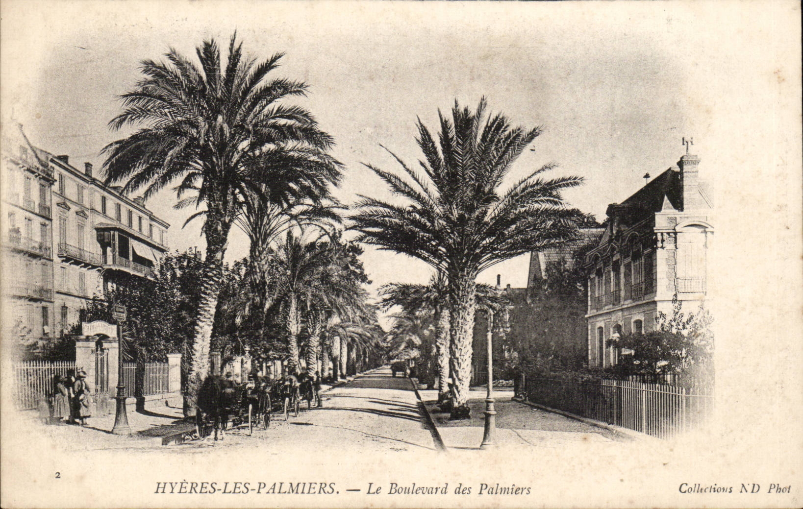 Hyères-les-Palmiers — Le Boulevard des Palmiers — Collections N.D. Phot