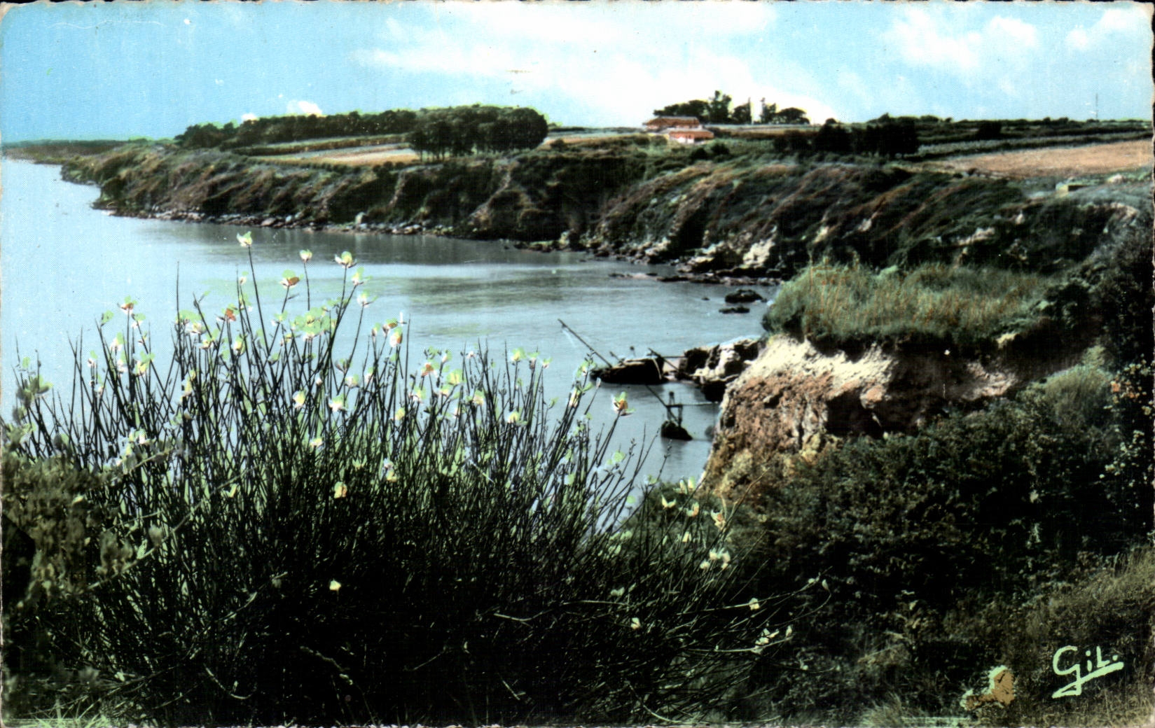 La Bernerie en Retz CPSM Genets sur la cote
