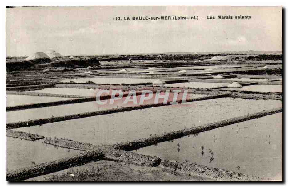 CPA La Baule sur Mer Les marais salants