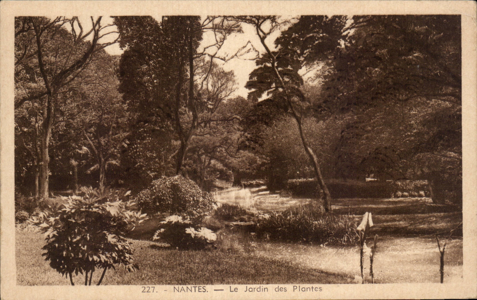CPA Nantes Le jardin des plantes