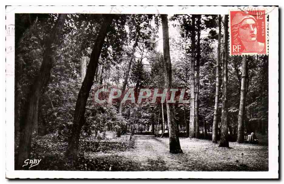 CPA Le Pouliguen Le bois