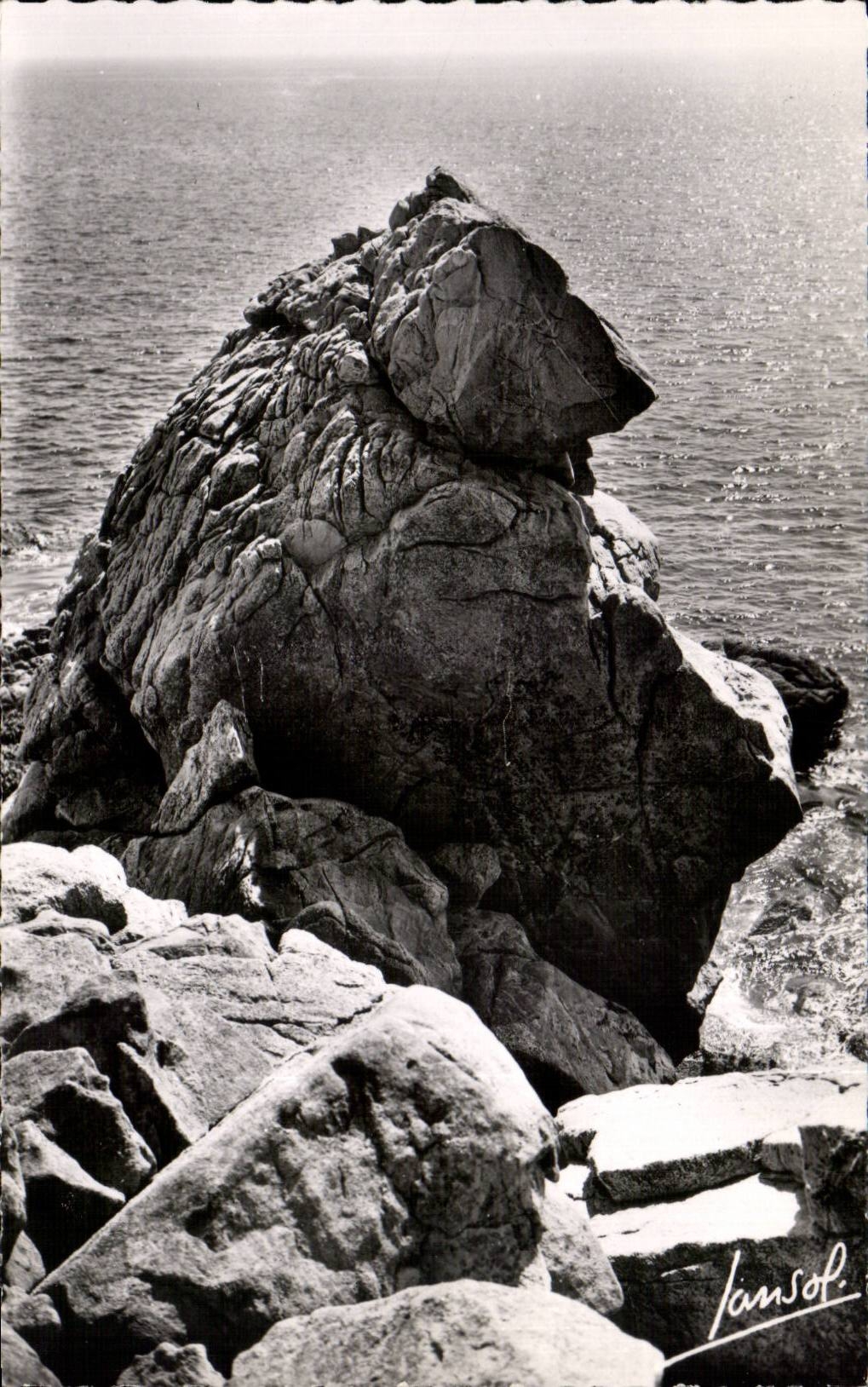 CPA La grande cote L' ours polaire bear