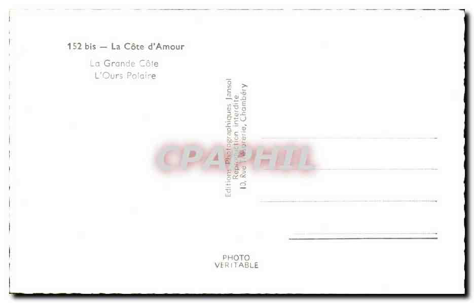 CPA La grande cote L' ours polaire bear — Rückseite