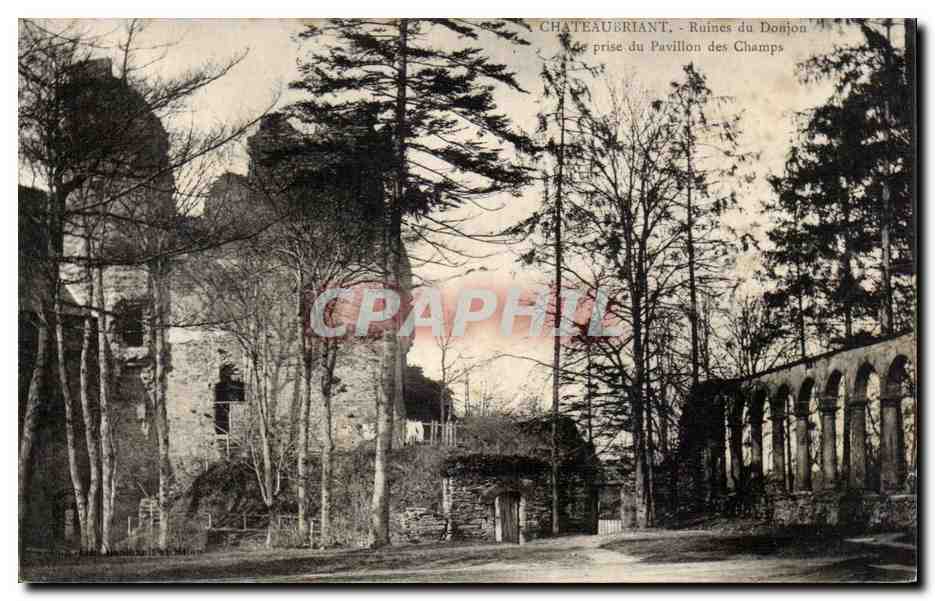 Chateaubriant CPA Ruines du donjon Vue prise du pavillon des Champs
