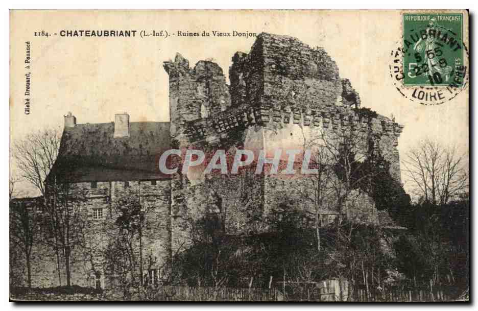Chateaubriant CPA Ruines du vieux donjon