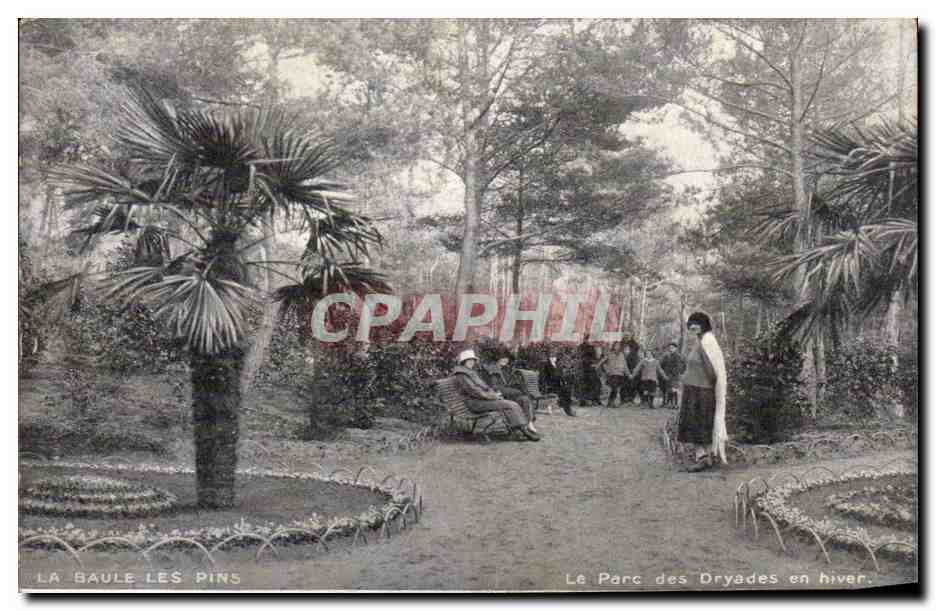 CPA La Baule les pins Le parc des Dryades en hiver