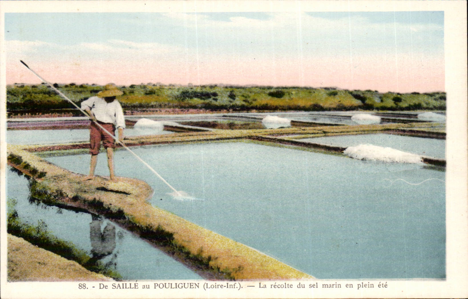 CPA De Saille au Pouliguen La recolte de sel marin en plein ete