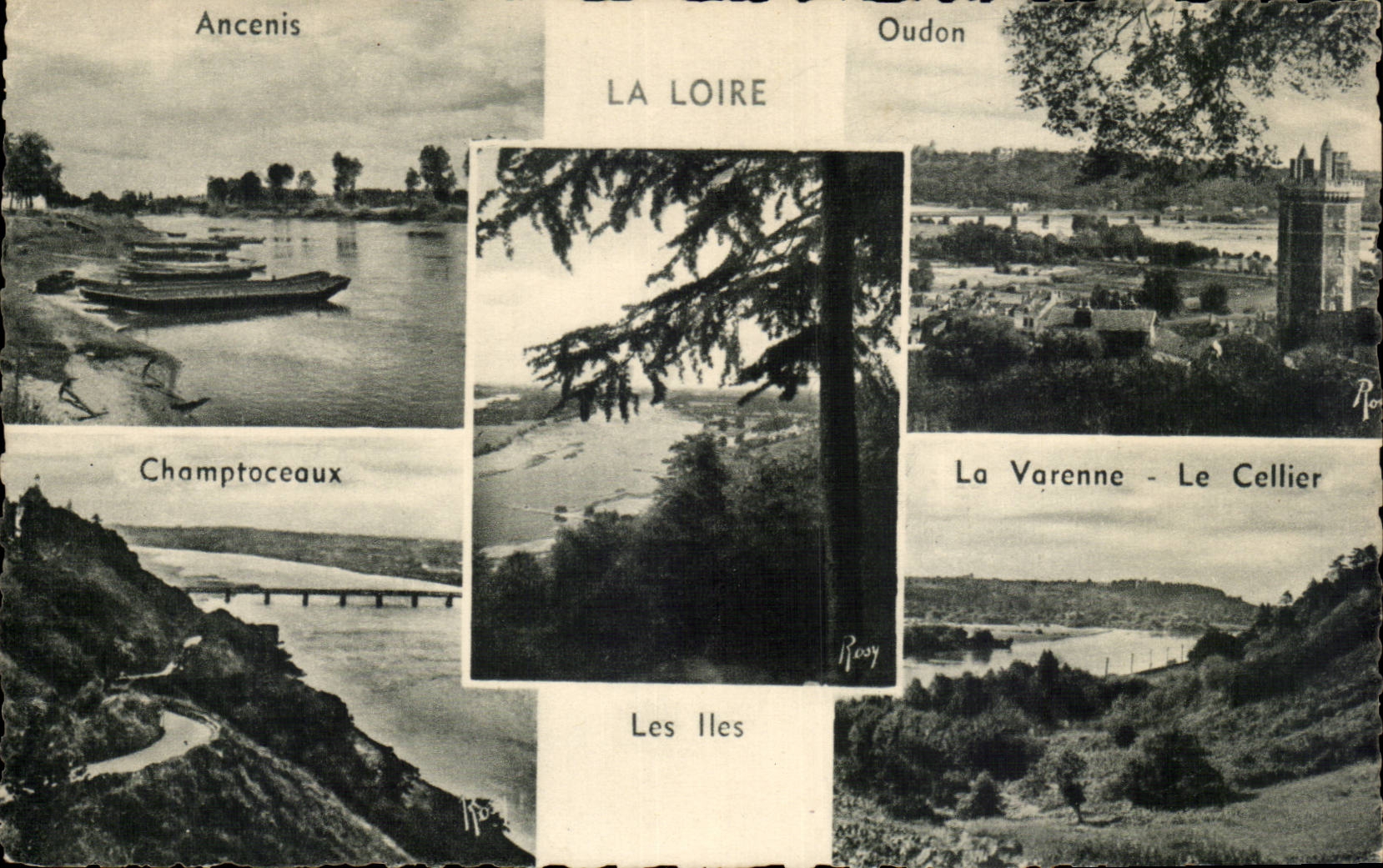 CPA Ancenis Oudon Champtoceaux La Varenne La Loire Les iles