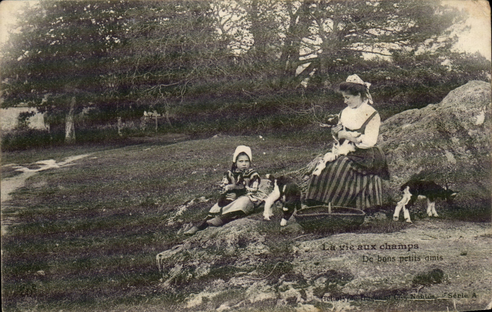 CPA La vie aux champs Bretagne De bons petits amis Chevre Goat Folklore Costume