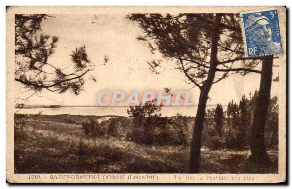 CPA Saint Brevin l'ocean La mer a travers les pins