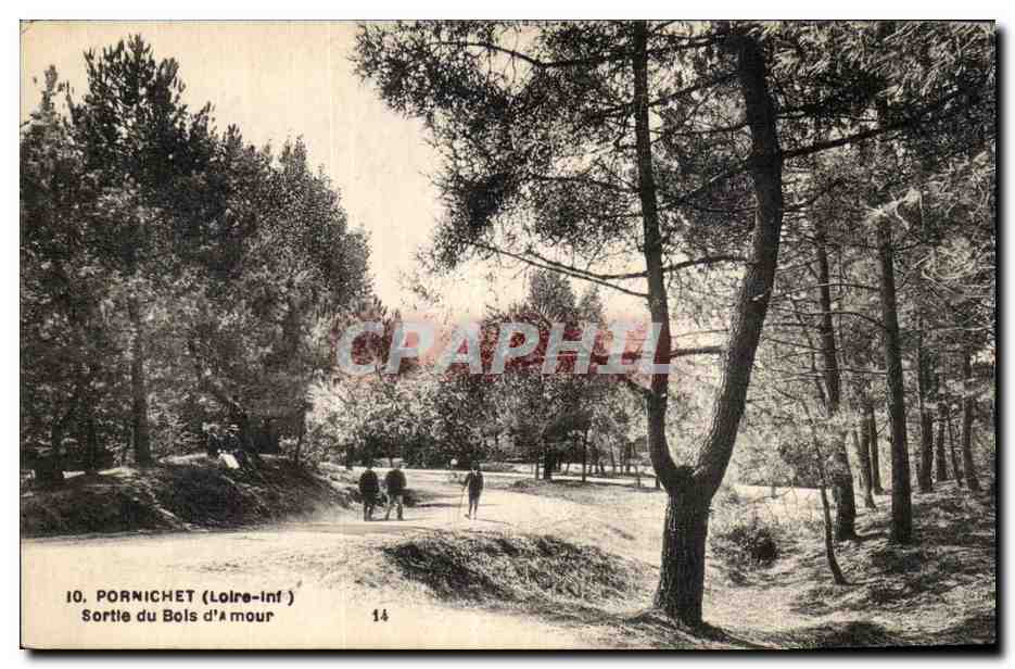 CPA Pornichet Sortie du bois d'amour