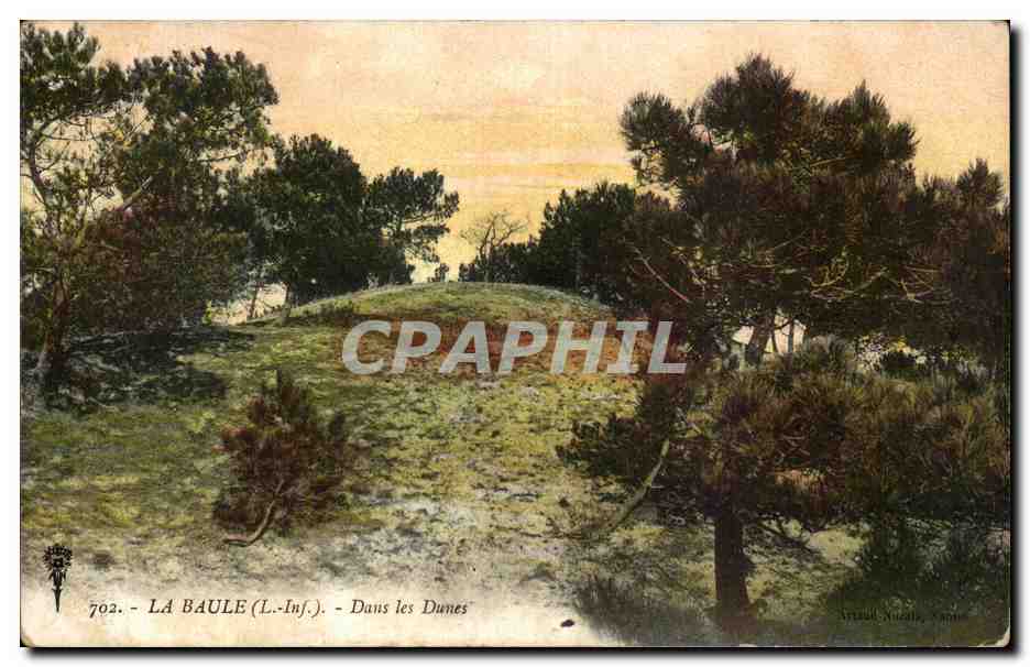 CPA La Baule sur mer Dans les dunes