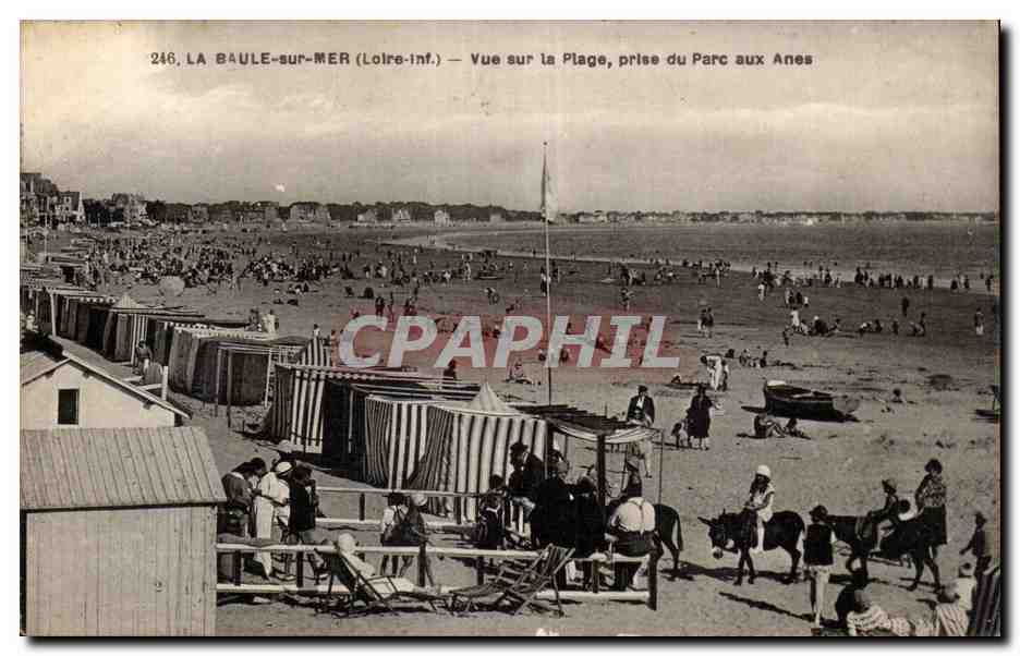 La Baule-sur-Mer (Loire-Inf.) — Vue sur la Plage, prise du Parc aux Anes — CPM n°246