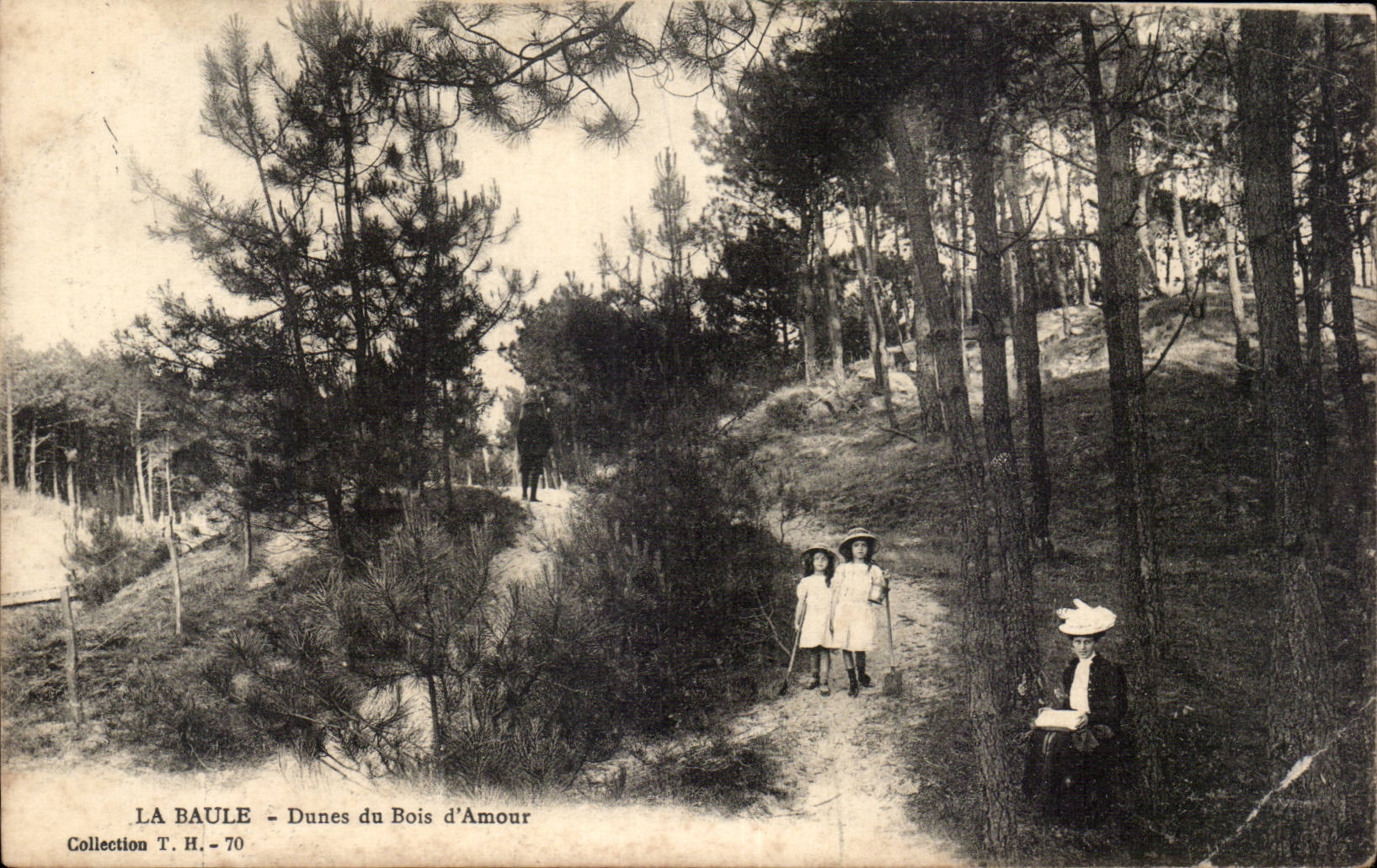 CPA La Baule Dunes du bois d'amour