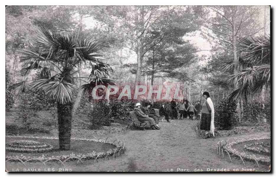 CPA La Baule Le parc des Dryades en hiver