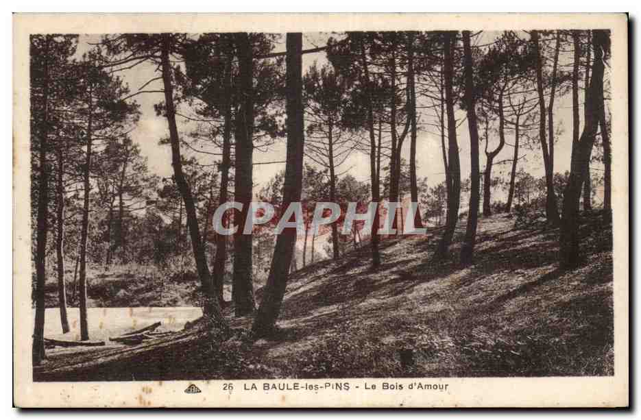 CPA La Baule Le bois d'amour