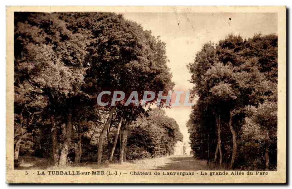 CPA La Baule Chateau de Lauvergnac La grande allee du parc