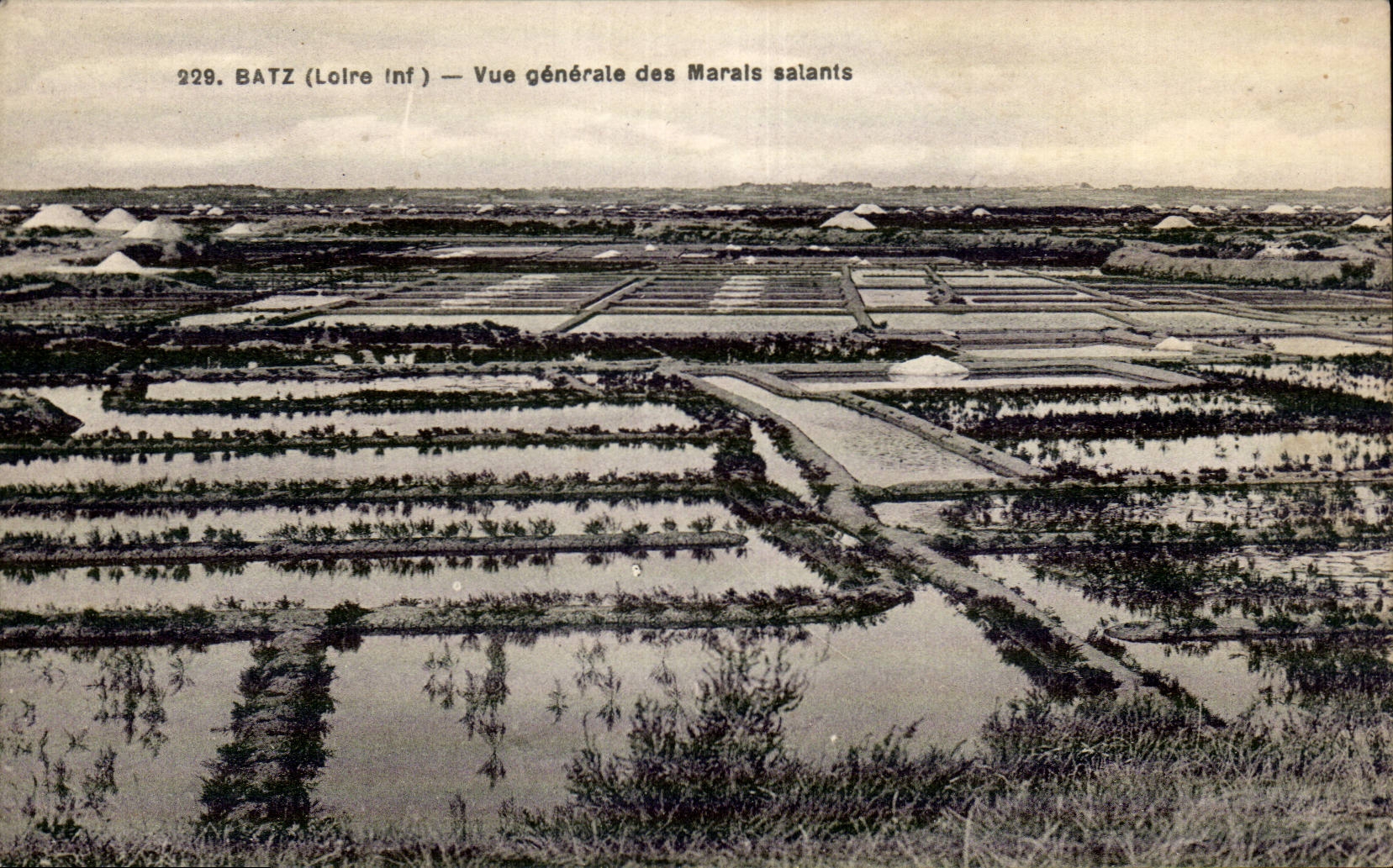CPA Batz Vue generale des marais salants