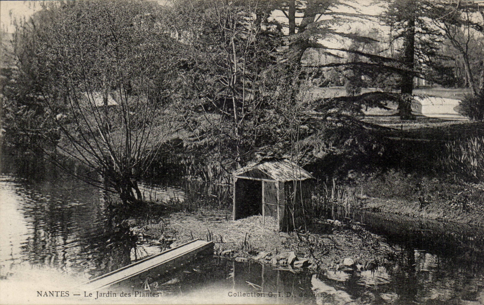 CPA Nantes Le jardin des plantes