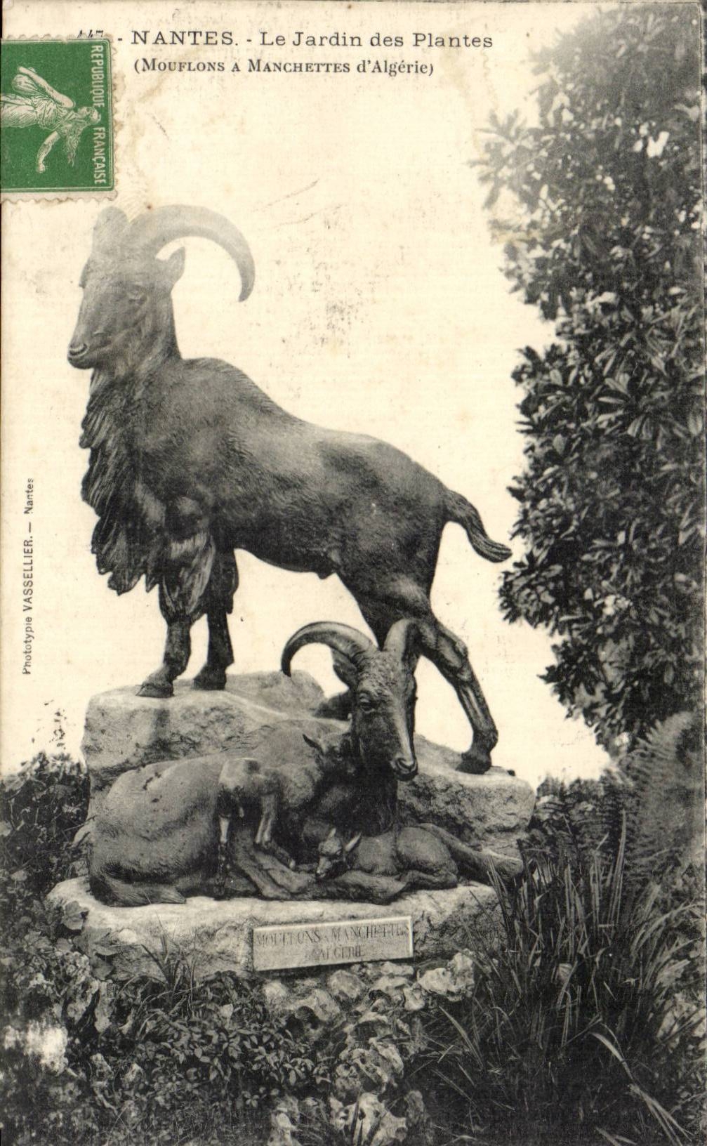 CPA Nantes le jardin des plantes Mouflons a manchettes d'Algerie