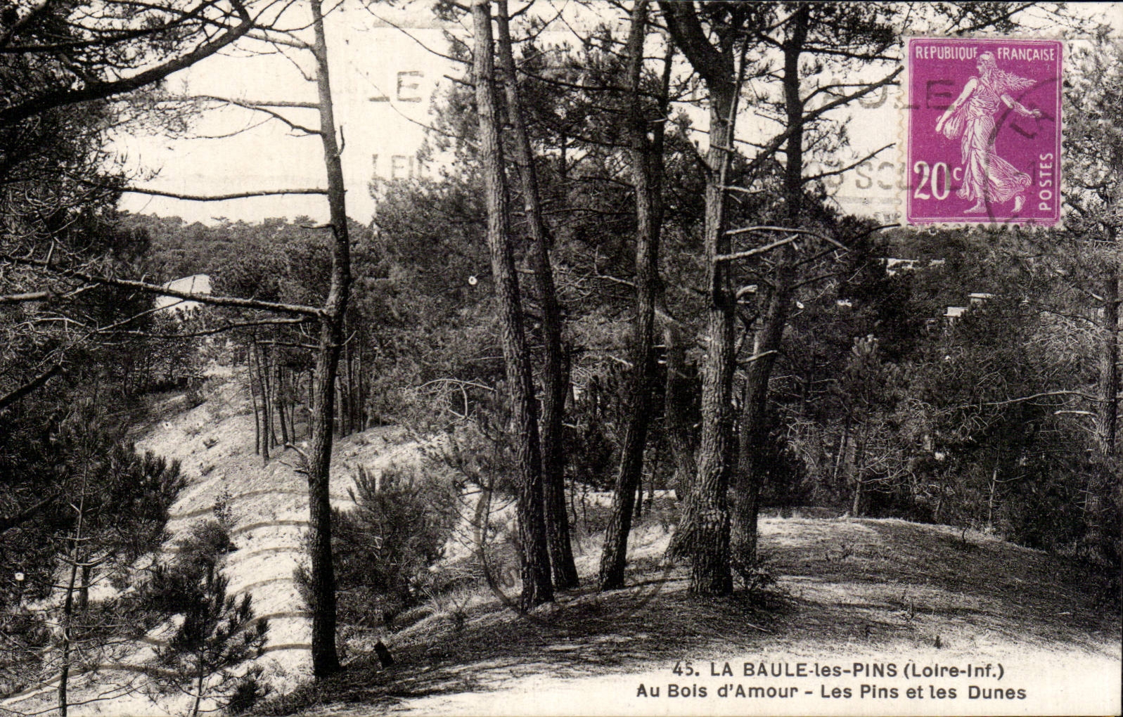 CPA La Baule les Pins Au bois d'amour Les pins et les dunes