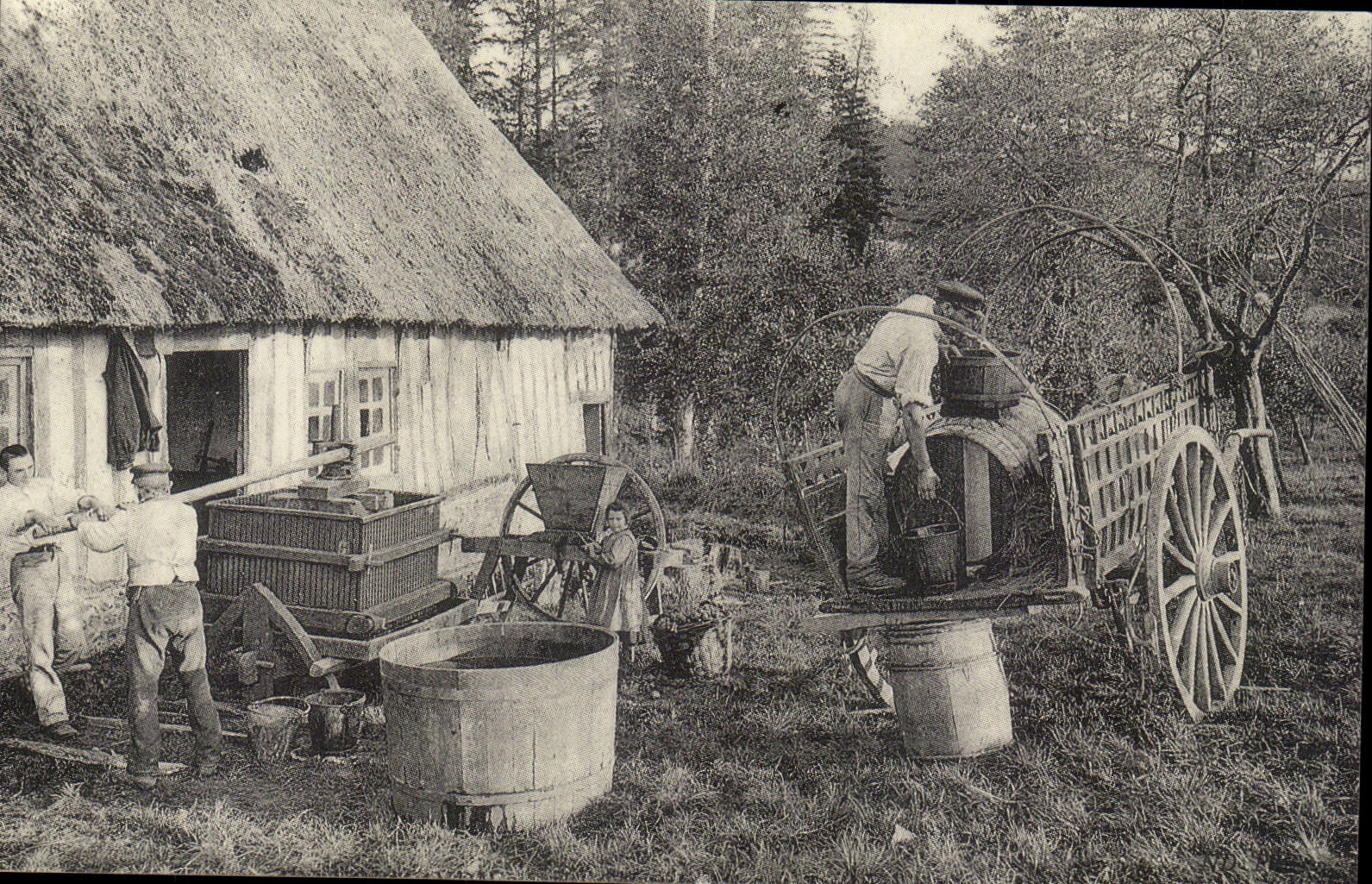 REPRODUCTION Normandie Fabrication du cidre