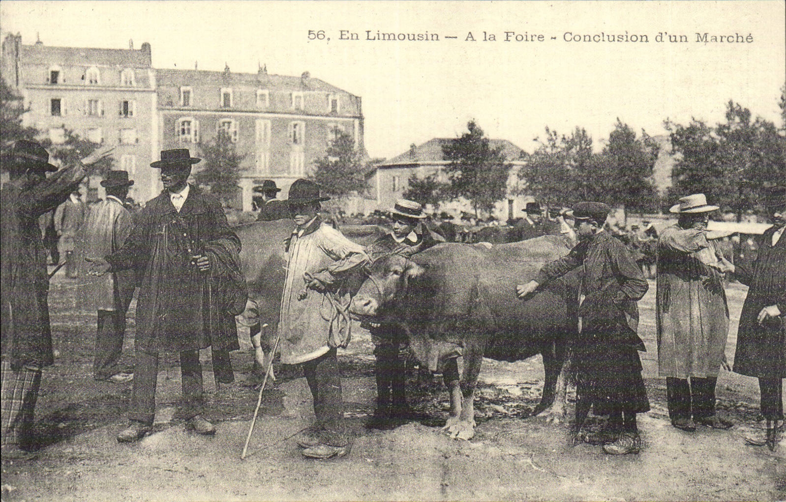 REPRODUCTION En Limousin A la foire Conclusion d'un marche 