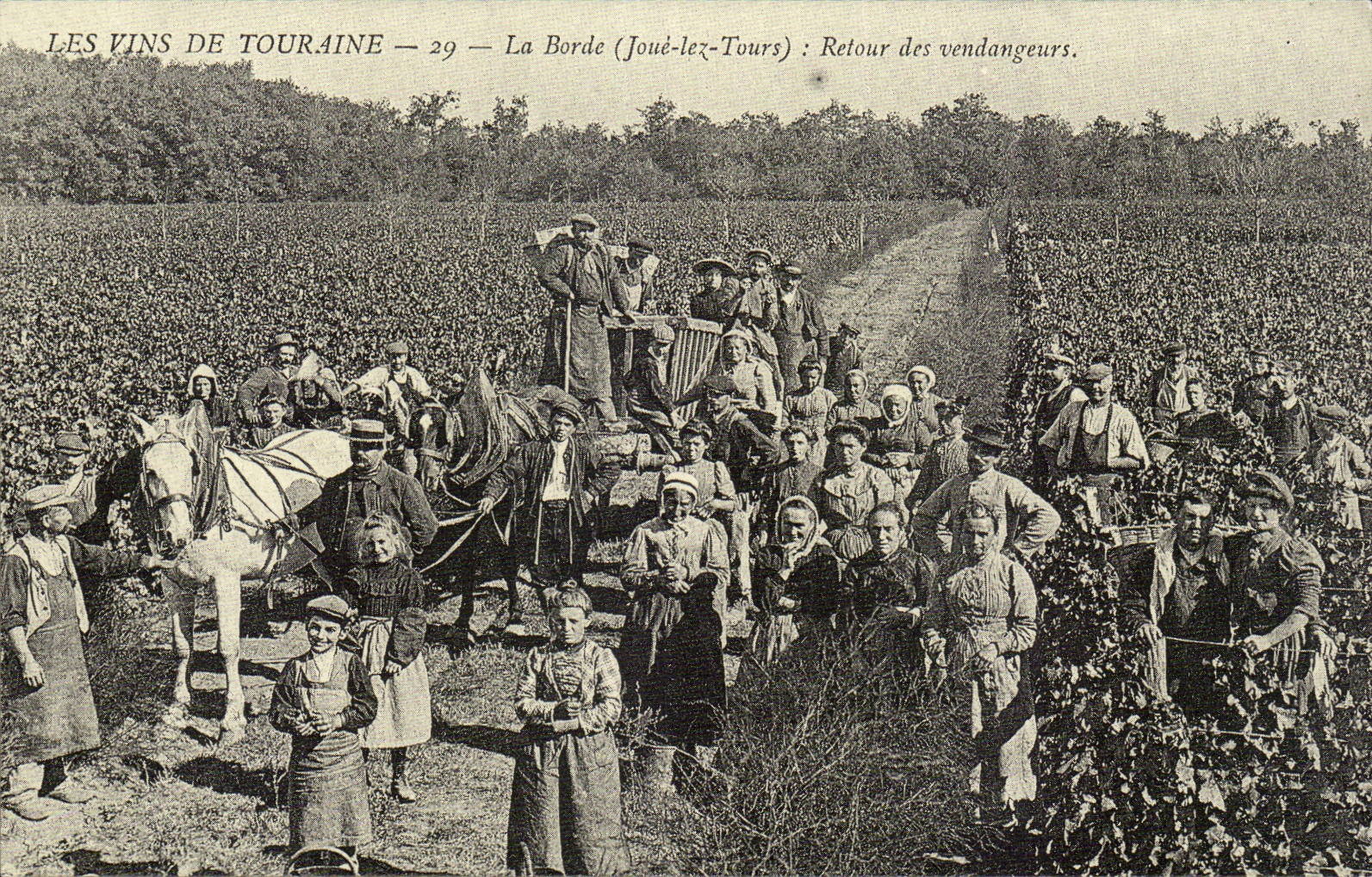 REPRODUCTION Les vins de Touraine La Borde Retour des vendangeurs Joue les Tours