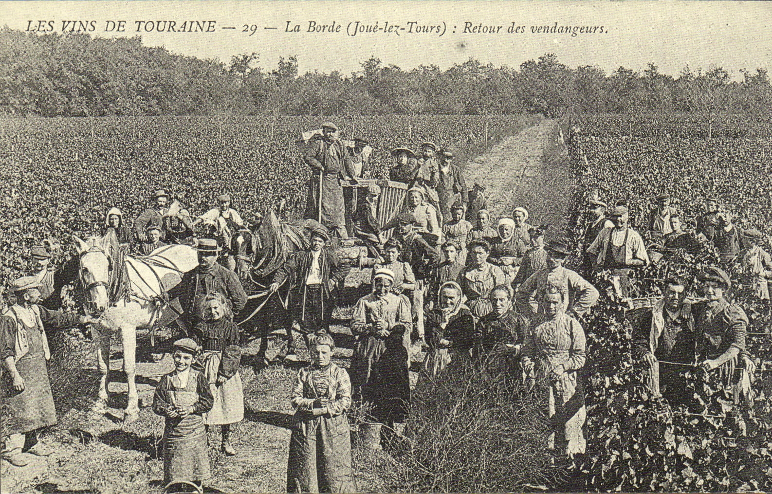REPRODUCTION Les vins de Touraine La Borde Joue lez Tours Retour des vendangeurs
