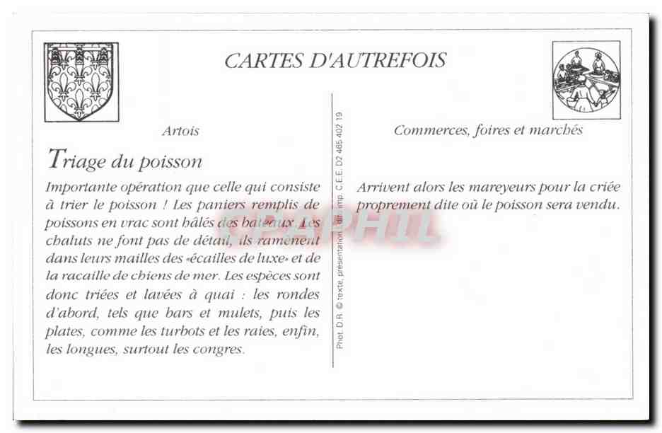 REPRODUCTION Boulogne sur mer Le triage du poisson avant la criee  — Rückseite