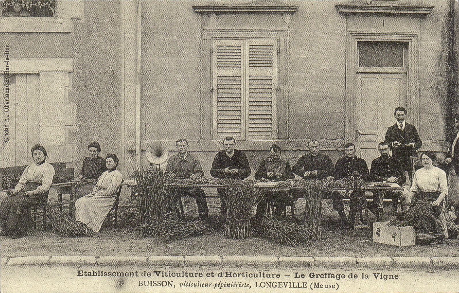 REPRODUCTION Etablissement de Viticulture et d'horticulture Le grettage de la vigne Buisson Longeville Meuse 