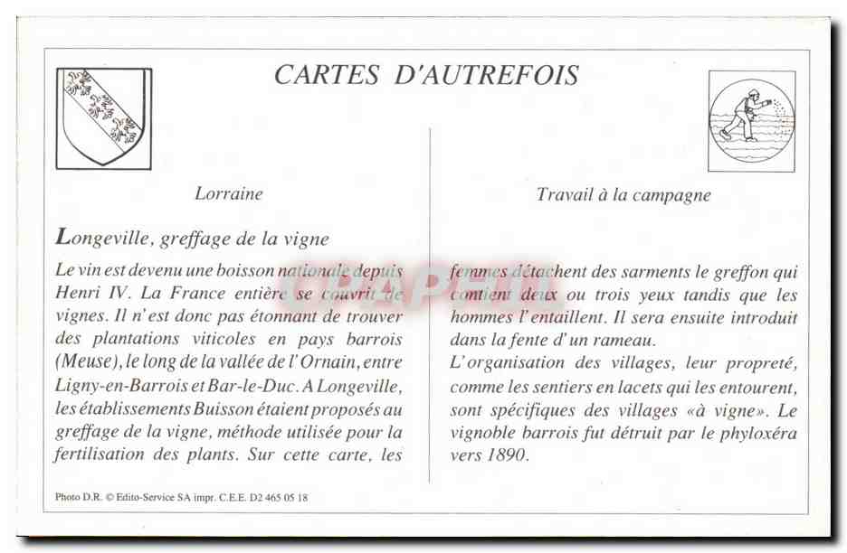 REPRODUCTION Etablissement de Viticulture et d'horticulture Le grettage de la vigne Buisson Longeville Meuse  — Rückseite