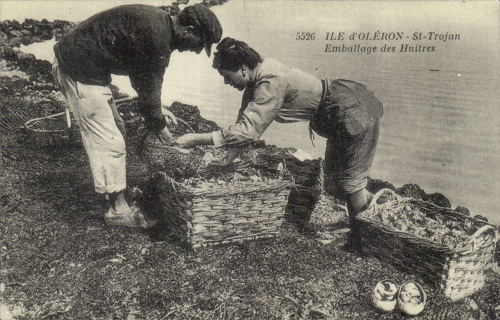 REPRODUCTION Ile d4oleron St Trojan Emballage des huitres Peche