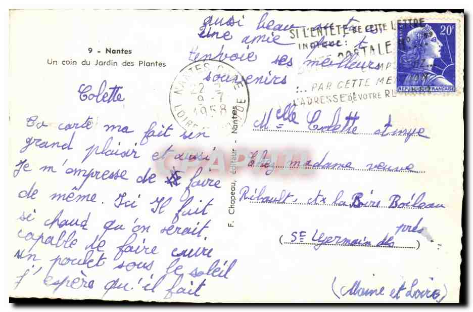 CPA Nantes Un coin du jardin des plantes — Verso