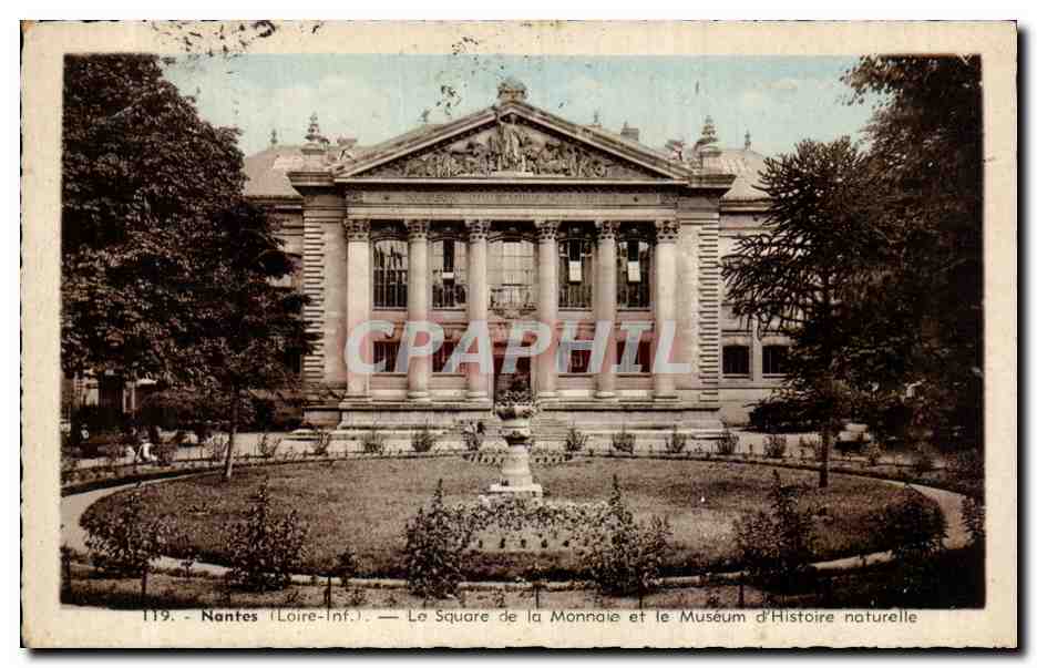 CPA Nantes Le square de la monnaie et le museum d'histoire naturelle